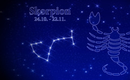 Horoskop 2014 Skorpion