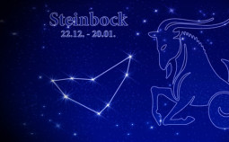 Horoskop 2014 Steinbock